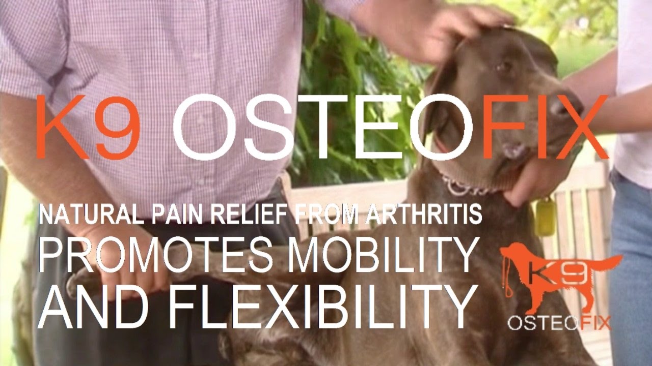 Best Proven Cure for Arthritis in Dogs *WITH AMAZING RESULTS* YouTube