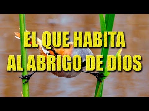 Himno: El Que