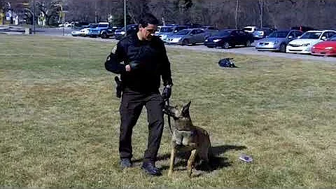 K9 conservation officers
