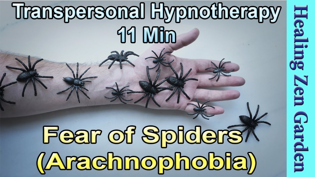 Fear of Spiders (Arachnophobia) 11 Min, Hypnosis, Transpersonal Hypnotherapy, Healing Zen
