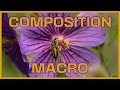 MACRO photographie : Règles simples de COMPOSITION pour des PHOTOS macro réussies!