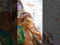 bappa morya🙏🙏🚩#bappamorya #bappa #funny #funnyshorts ##fitnessmotivation