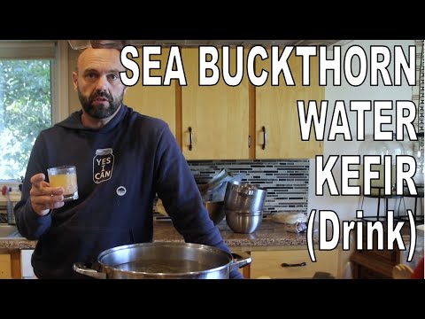 Video: Sea Buckthorn Cake Na May Kefir