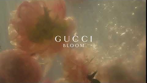 GUCCI BLOOM 5 SK