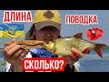 Красноперка на попла-поппер. Как подобрать длину поводка. Оснастка попла-поппера.