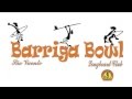 Barriga Bowl - São Vicente/SP