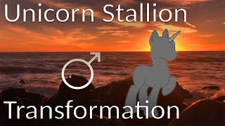 Unicorn Stallion Hypnosis (with Genital Transformation and Imposition)