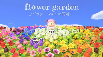 あつもり紫の花