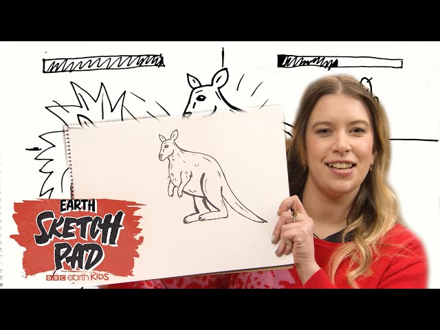 How To Draw A .. KANGAROO!, Earth Sketch Pad