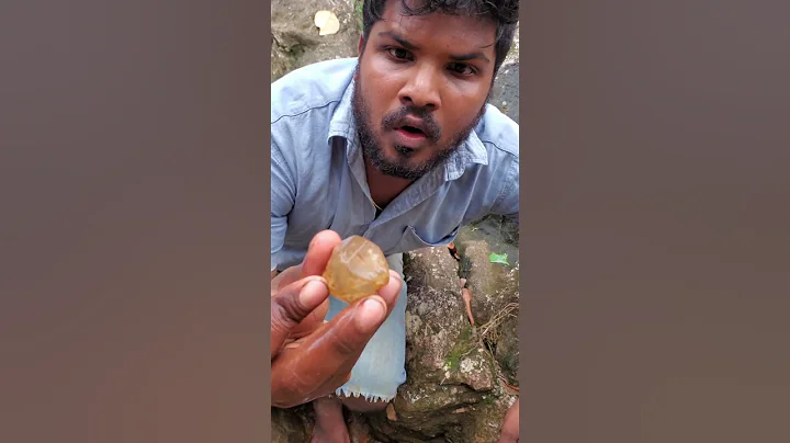 Unveiling a Massive $599 Million Black Garnet Find! #BlackGarnet #Black #Garnet #gemstones #gem#fish