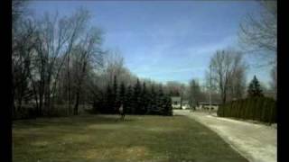 Sequence 5.mp4
