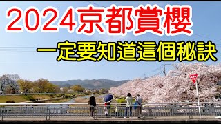 【日本旅遊】2024年日本京都櫻花季賞櫻全攻略🌸5大京都賞櫻景點推薦・京都賞櫻秘訣・京都自由行攻略・京都旅遊・日本自由行・哲學之道・蹴上・鴨川・伏見桃山・伏见十石舟・祇園白川・京都站4K