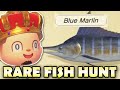 🐟 BLUE MARLIN, SNAPPING TURTLE, & CHAR HUNT!  Animal Crossing New Horizons RARE FISH HUNT!