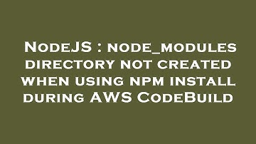 NodeJS : node_modules directory not created when using npm install during AWS CodeBuild