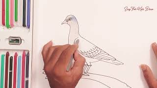 How To Draw Dove Pigeon Drawing Peace Dove Drawing Pigeon Drawing Step By Step