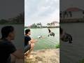 Trẻ trâu không tin có cá sấu dưới ao sâu và cái kết !