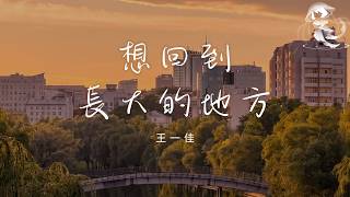 王一佳 - 想回到長大的地方「當初的笑容該去哪裡找 想回到長大的地方 去看晚霞落山崗」【動態歌詞】♪