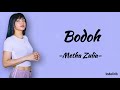 Metha Zulia - Bodoh | Lirik Lagu