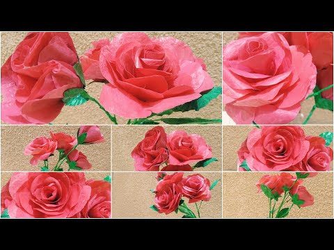 فيديو: كيفية صنع وردة كانزاشي