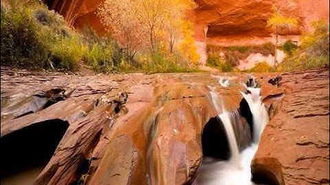 تلاوة جميلة لـ محمد المروتـي -سورة الحشر 8