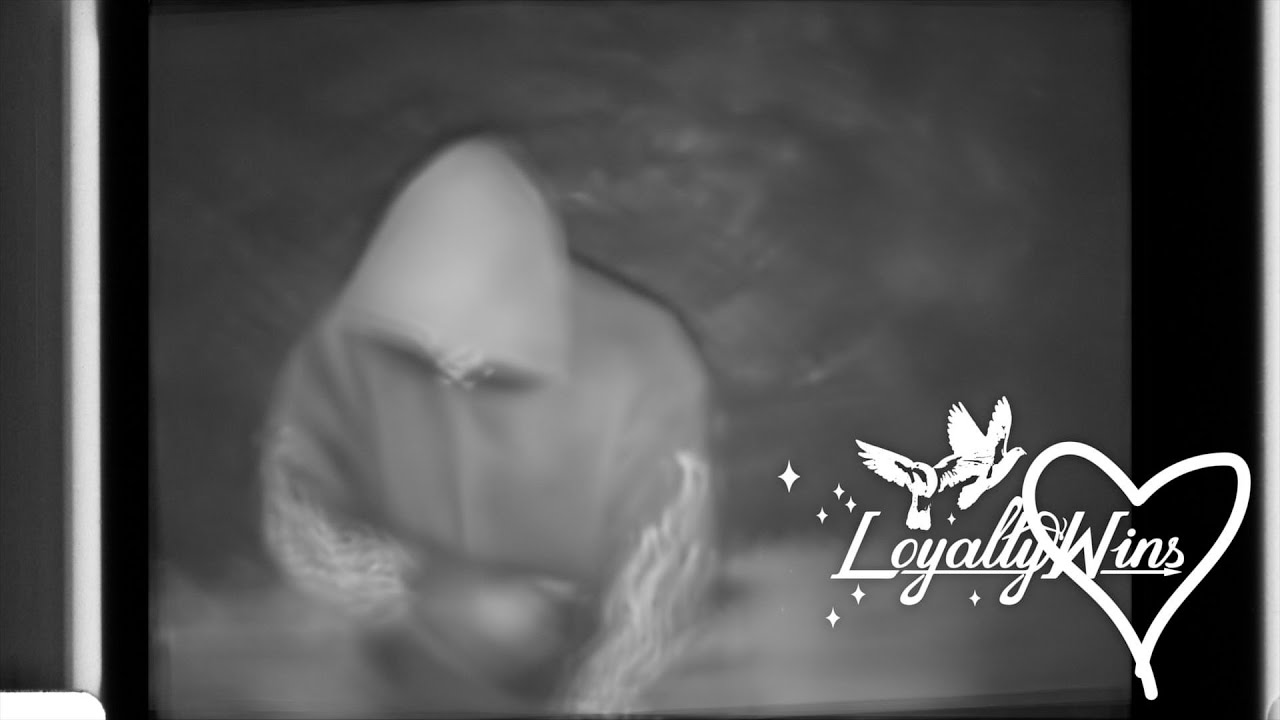 LoyaltyWins - Encrypted Heart [Official Visualizer]