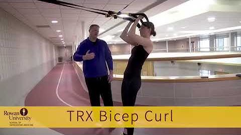 TRX Bicep Curl
