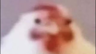 I Like To Pump It Meme Ember Breeze And Avery Joke Thumbnail For Now