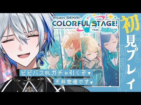 プロセカ ビビバスセット Vivid BAD SQUAD SEKAI ALBUM vol.1｜ディスコグラフィー