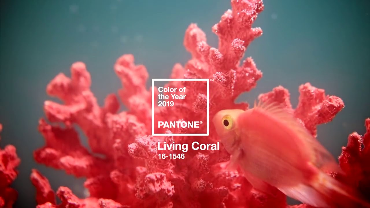 PANTONE COLOR OF THE YEAR 2019