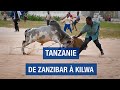 Tanzanie un voyage inattendu  zanzibar  kilwa  pemba   documentaire voyage  amp