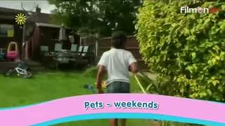 Pets (Sneeky Peek, 27Th April 2016)