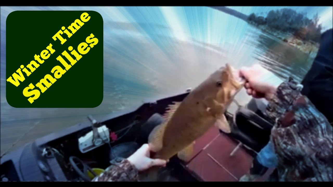 Smallmouth Bass Winter Bite YouTube