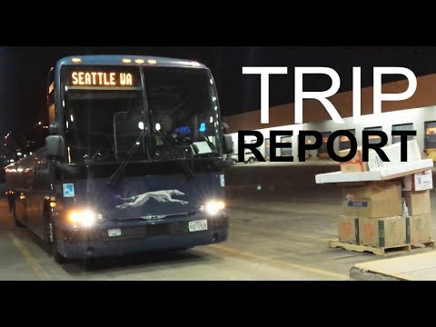 Video: Koľko zarábajú vodiči autobusu Seattle Metro?