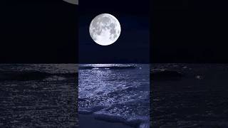 😴夜の海で聴く癒しの波音 #波の音 #海の音