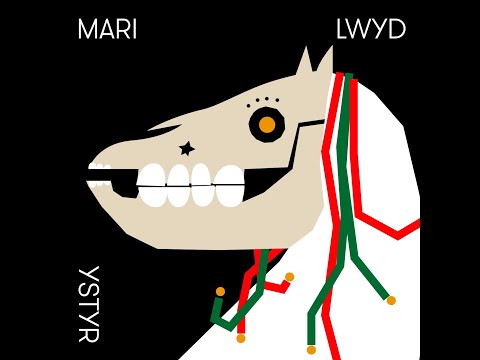 Ystyr - Mari Lwyd
