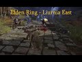 Elden RIng Episode 5 - Liurnia East
