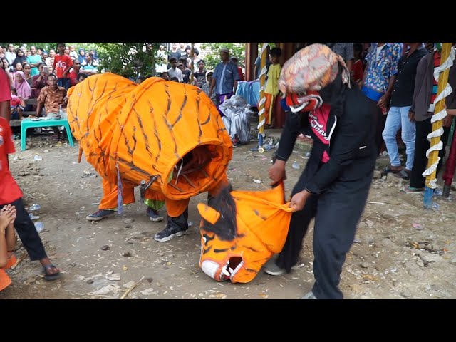 W0WW... MACAN TARUNGAN ~ BUROK CINTA NADA BUDAYA SHOW SEKARDOJA 27/01/2022 class=