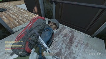 Friendliest DayZ Interaction