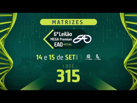 LOTE 315