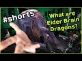 What is an elder brain dragon in dd