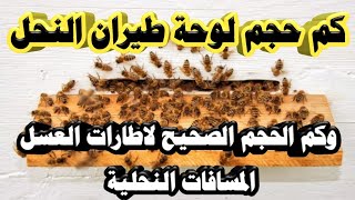 حجم لوحة طيران النحل والمسافة النحلية لاقراص العسل الاطارات او البراويز الدكتور عبدالرحمن باخمسه