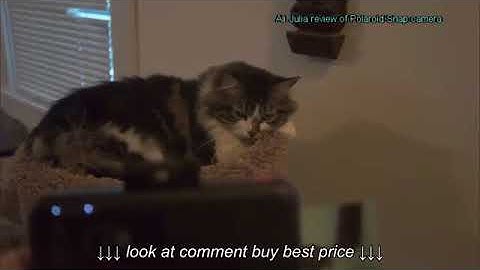 Polaroid Snap Instant Digital Camera Black with ZINK Zero Ink Printing Technology