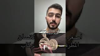اصغر عظام بجسم الانسان | أحمد عودة