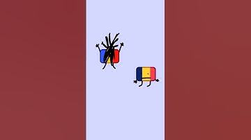 Romania and Chad discover eachother’s flags #animation #countries #flags