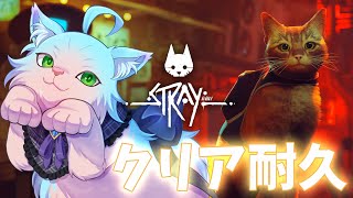 【Stray】クリア耐久～迷子猫の大冒険【綵雲/個人勢VTuber】