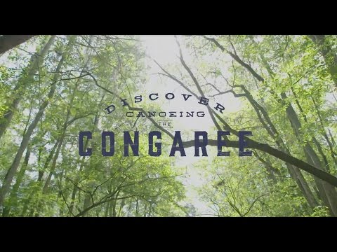 Video: Congaree-Nationalpark in South Carolina