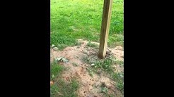Clear span Pole barn