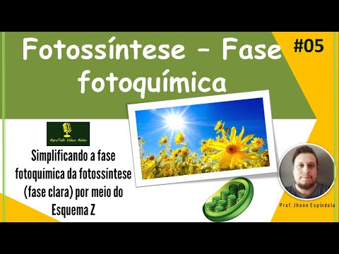 Vídeo: Qual é o esquema Z da fotossíntese?