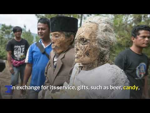Video: The Indonesian People Of Toraja Held Another Holiday Of 