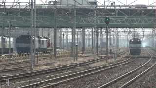 JR貨物 EF65-1050 貨物列車(遅れ5087レ JR貨物更新 白プレ) 稲沢駅貨物線
